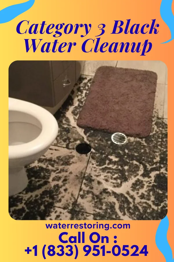 Category 3 Black Water Cleanup in Oyens, IA
