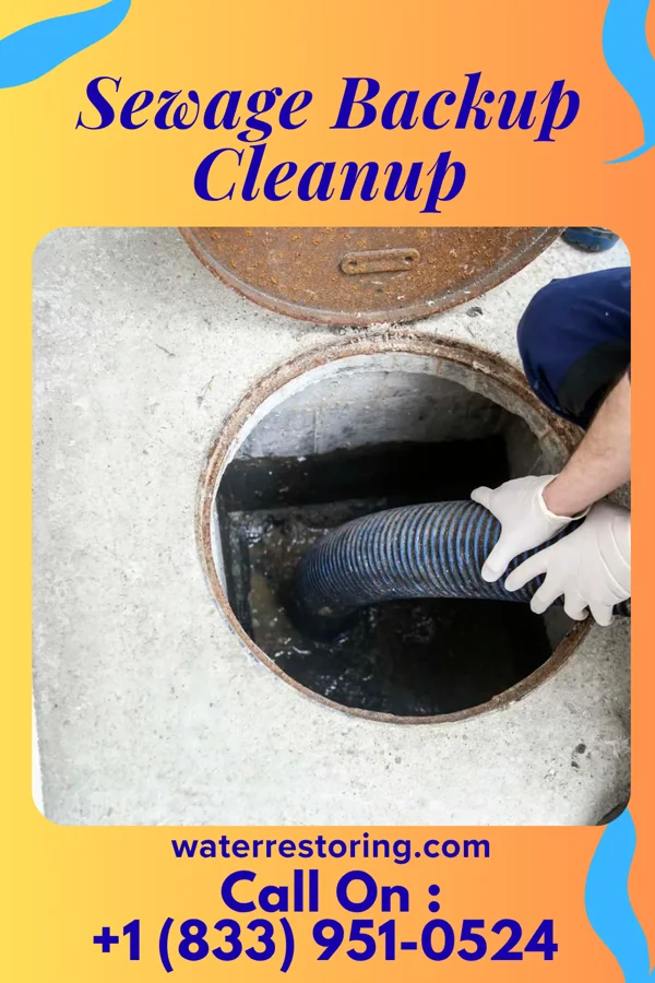 Sewage Backup Cleanup in Oyens, IA